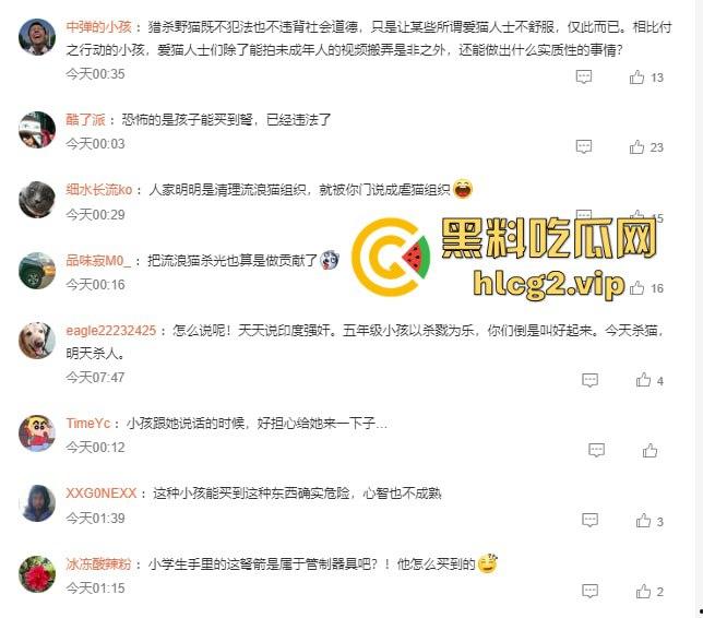 超熊男孩弩箭练杀技！虐猫升级还不够，下一步就是全家屠杀，老妈还在旁边玩消消乐-2