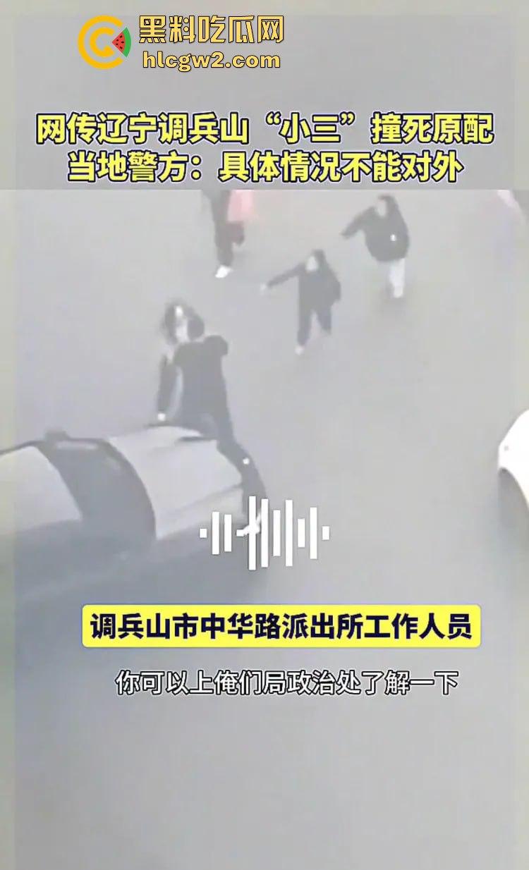 辽宁铁岭调兵山紫夜KTV老板娘【张雪】被小三车撞身亡,情感纠纷背后真相扑朔迷离!-6