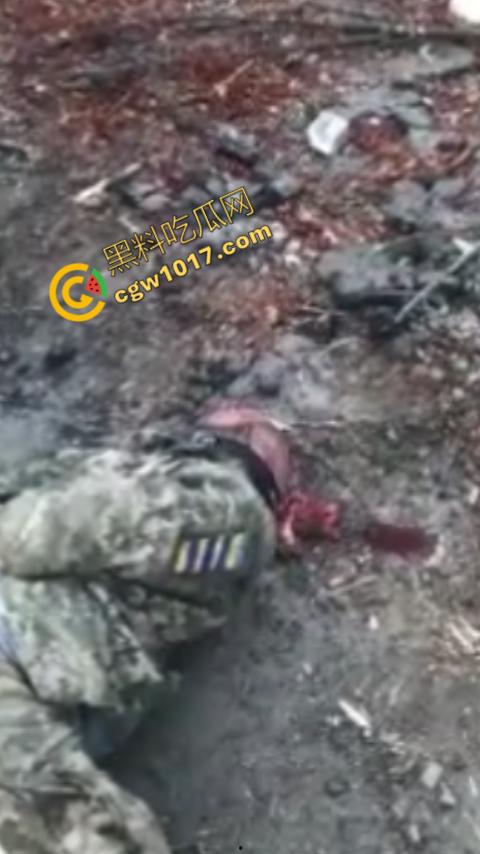 恐怖慎入:战俘被残虐致死内部视频曝光:耳朵,阴茎被残忍收割,现场画面血腥暴力,胆小这勿入!-9