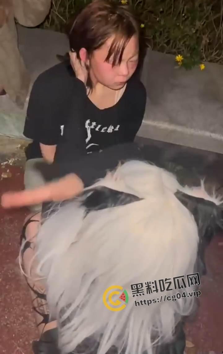 成都女说唱【Dlaaa】抖音名 Punk说唱女 霸凌舍友被曝光 本人还不以为耻 反以为荣-7