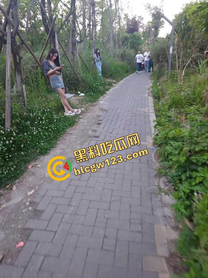 成都套套乐园,公园秒变野战广场,满地套套卫生纸,三步一个套五步一滩汁,精子浇灌绿化带!-11