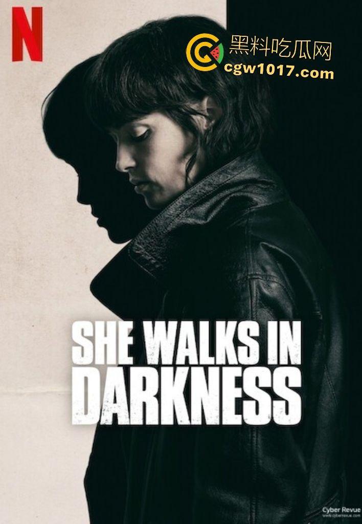 电影【她行走于黑暗中】女警阿马娅十年潜伏，寻秘密武器库并摧毁，爱恨交织成转折点，真实行动改编惊心动魄！-1