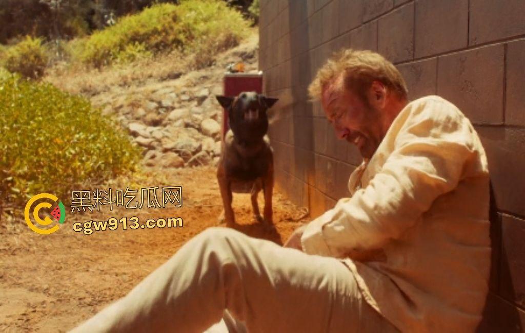 2025惊悚大片【冲浪惊魂】，澳洲海滩凯奇父子遭冲浪黑帮羞辱，凯奇怒火焚天，誓要沙滩所有权！-5