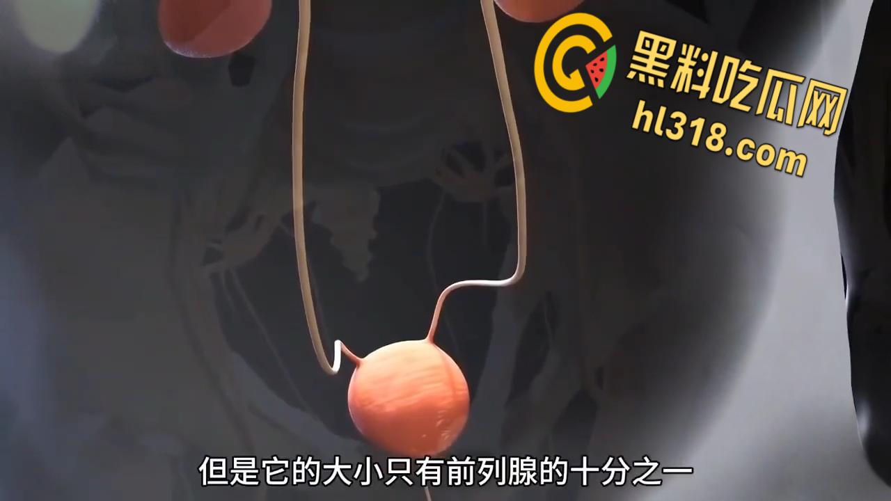 性爱科普揭秘，性高潮时潮喷的液体究竟是什么？带你看尽私密快感，想想谁被你操到高潮喷射 ！-5