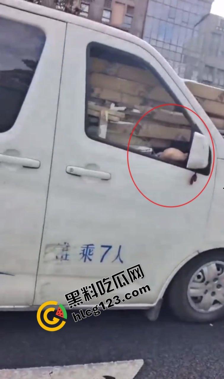 太惨了！面包车“人货混装”追尾，副驾驶女人没了！-10