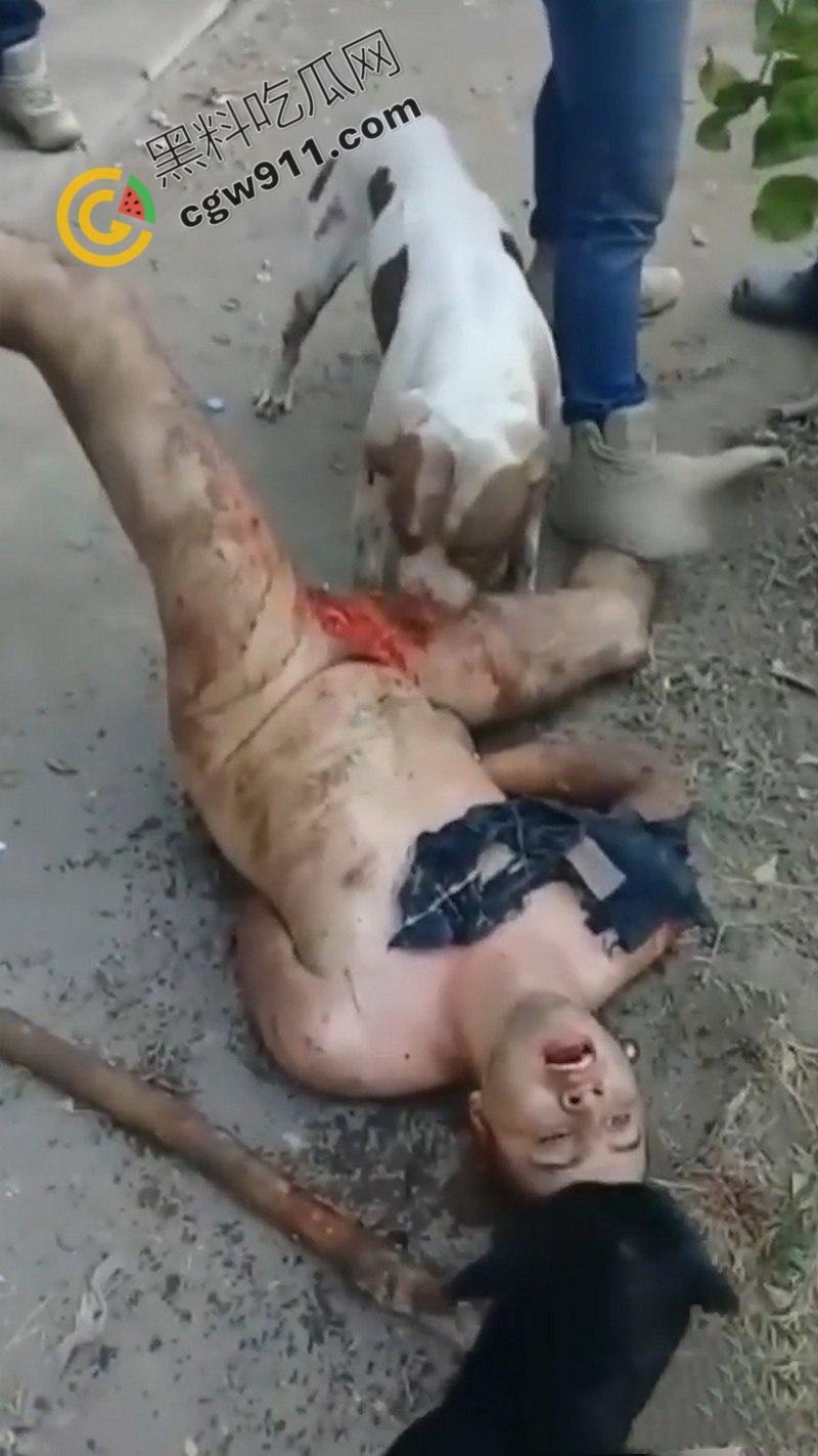 墨西哥城黑帮刑事件：裸男遭受斗牛犬撕咬生吞下体生殖器，画面血腥到令人作呕！-4