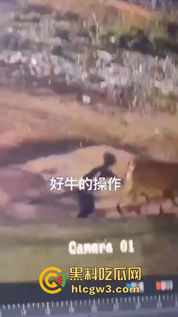 真实操兽：饥渴小哥不吹牛逼操牛逼 拔屌暴插大母牛 省钱免费逼还大 论狠人你是第一人！-1