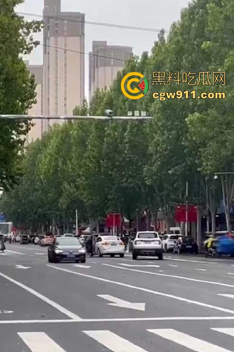 现在的人怨气实在是太重了，河南郑州凶手驾车撞伤女子，将其捅死随后当场自杀身亡，画面血腥胆小慎入！-2