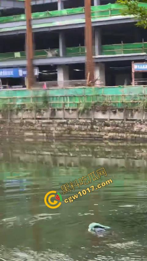 重庆湖边惊魂：绝望女子跳湖，勇敢路人生死救美，惊险拯救，揪心一刻，心跳加速，惊险刺激！-5