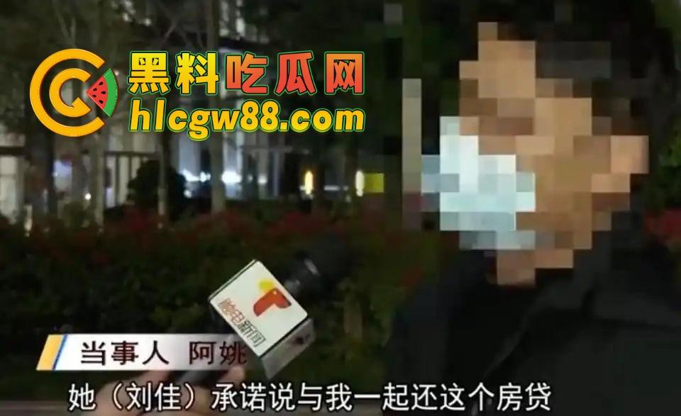 深圳华媒世界36个傻屌前女友同名『刘佳』房产婊操盘杀猪秀操作，甜嘴哄屌掏首付秒跑！-13