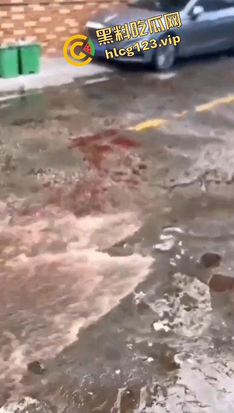 广东潮州发生恶性斗殴事件,一男子被当街砍死,另一人被警方当场抓获,凶手直接被判死刑!-6