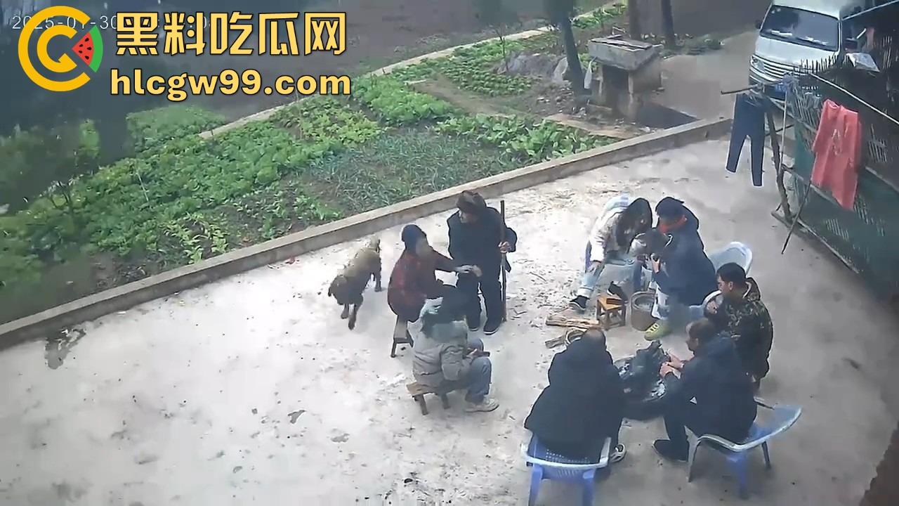 重庆狗子掉进粪坑惨变生化武器 出坑后全家总动员 结果反被狗狂追满院狂喷 粪味冲天!-2