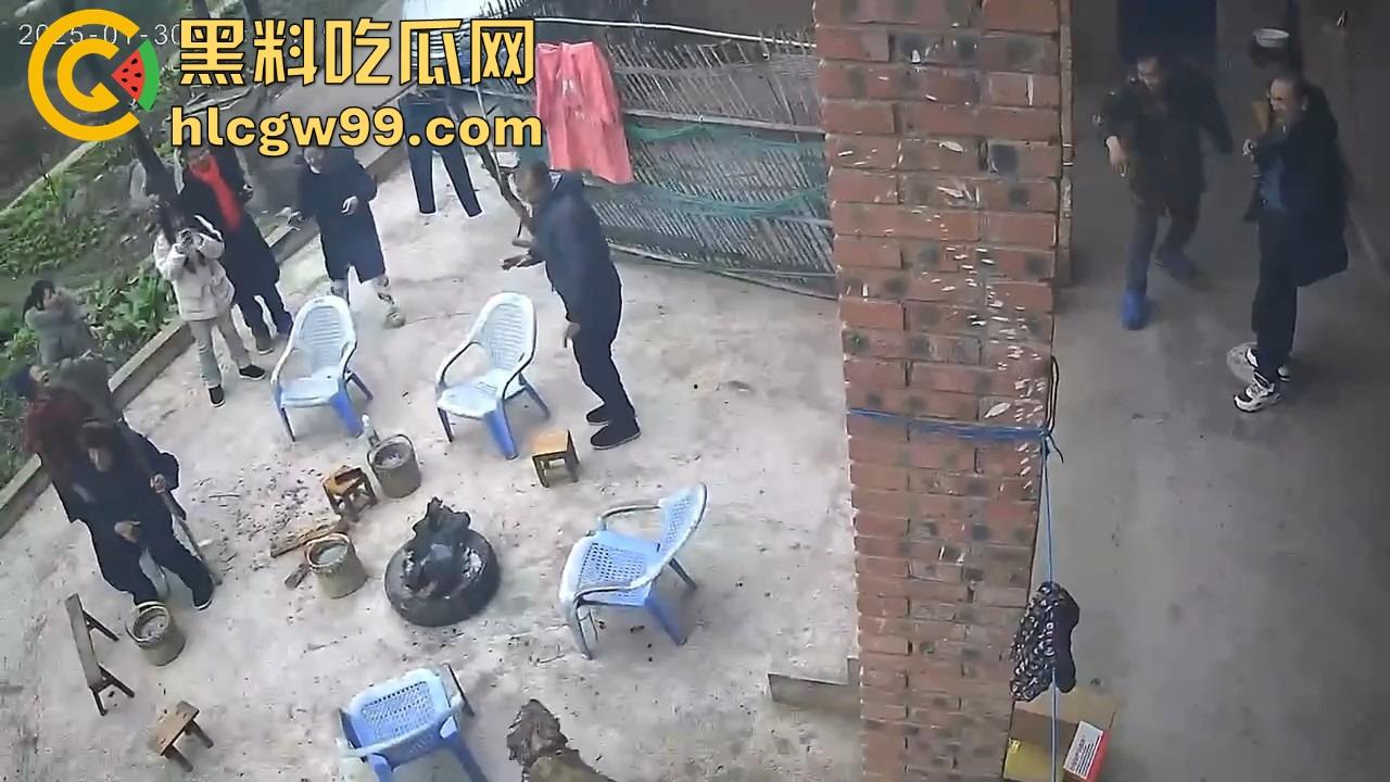 重庆狗子掉进粪坑惨变生化武器 出坑后全家总动员 结果反被狗狂追满院狂喷 粪味冲天!-4