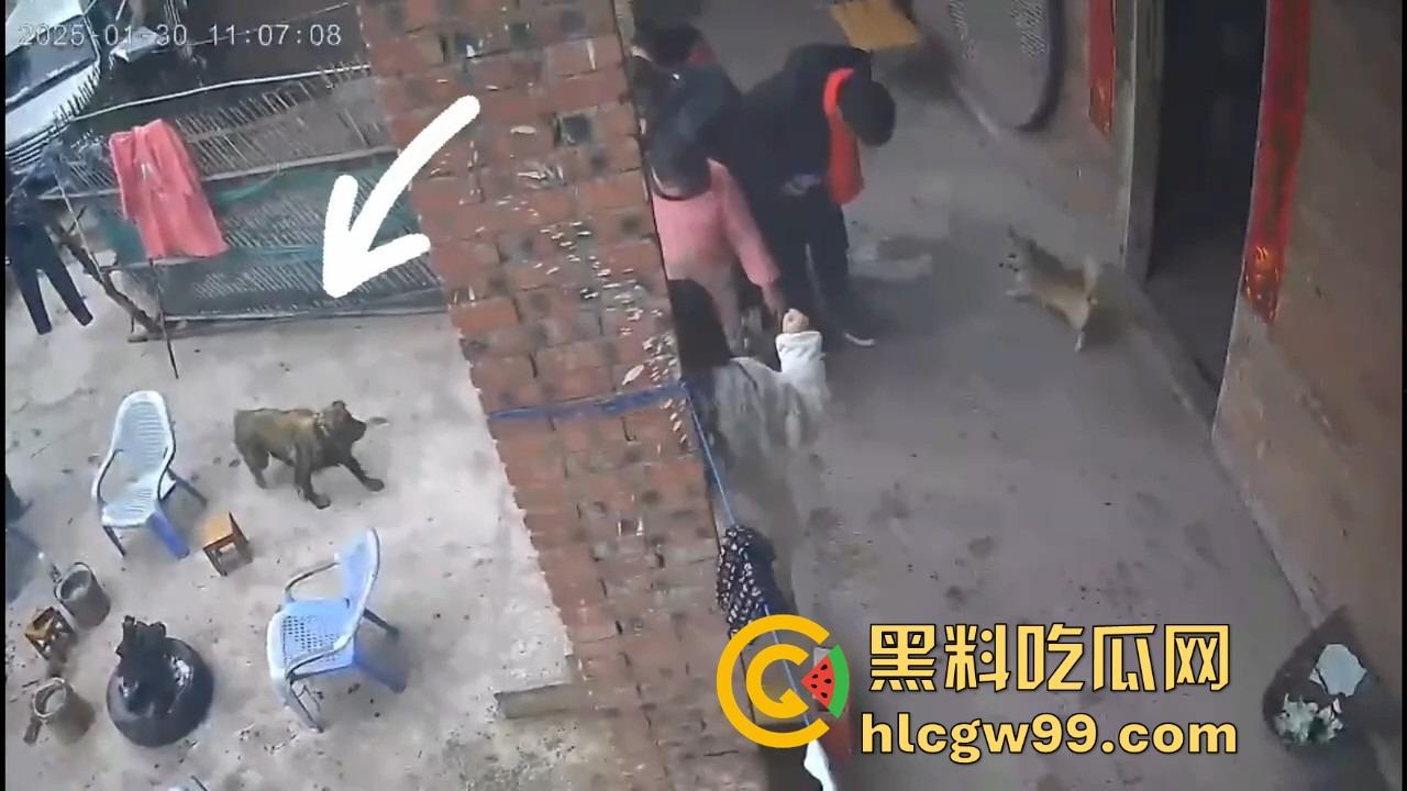 重庆狗子掉进粪坑惨变生化武器 出坑后全家总动员 结果反被狗狂追满院狂喷 粪味冲天!-7