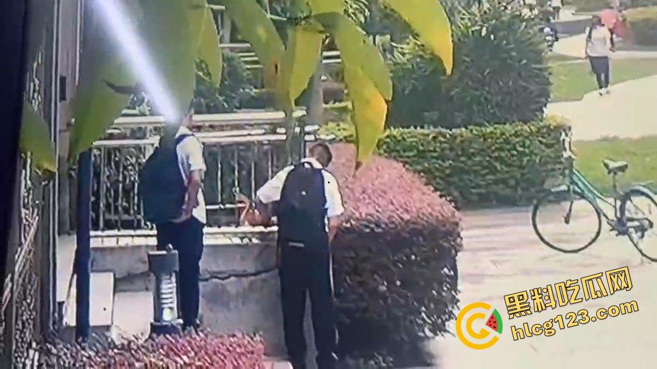 两个初中生小区虐猫？回家对着你老父亲试试，猫是猫人不是人！-10