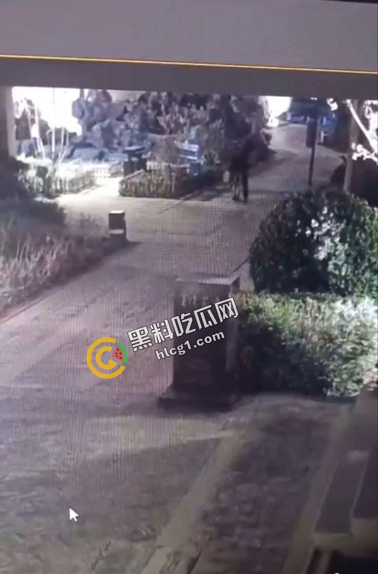 全网热搜 兰州老街情侣野战 半夜路边就地掏屌开干 监控全程记录 视频流出-4