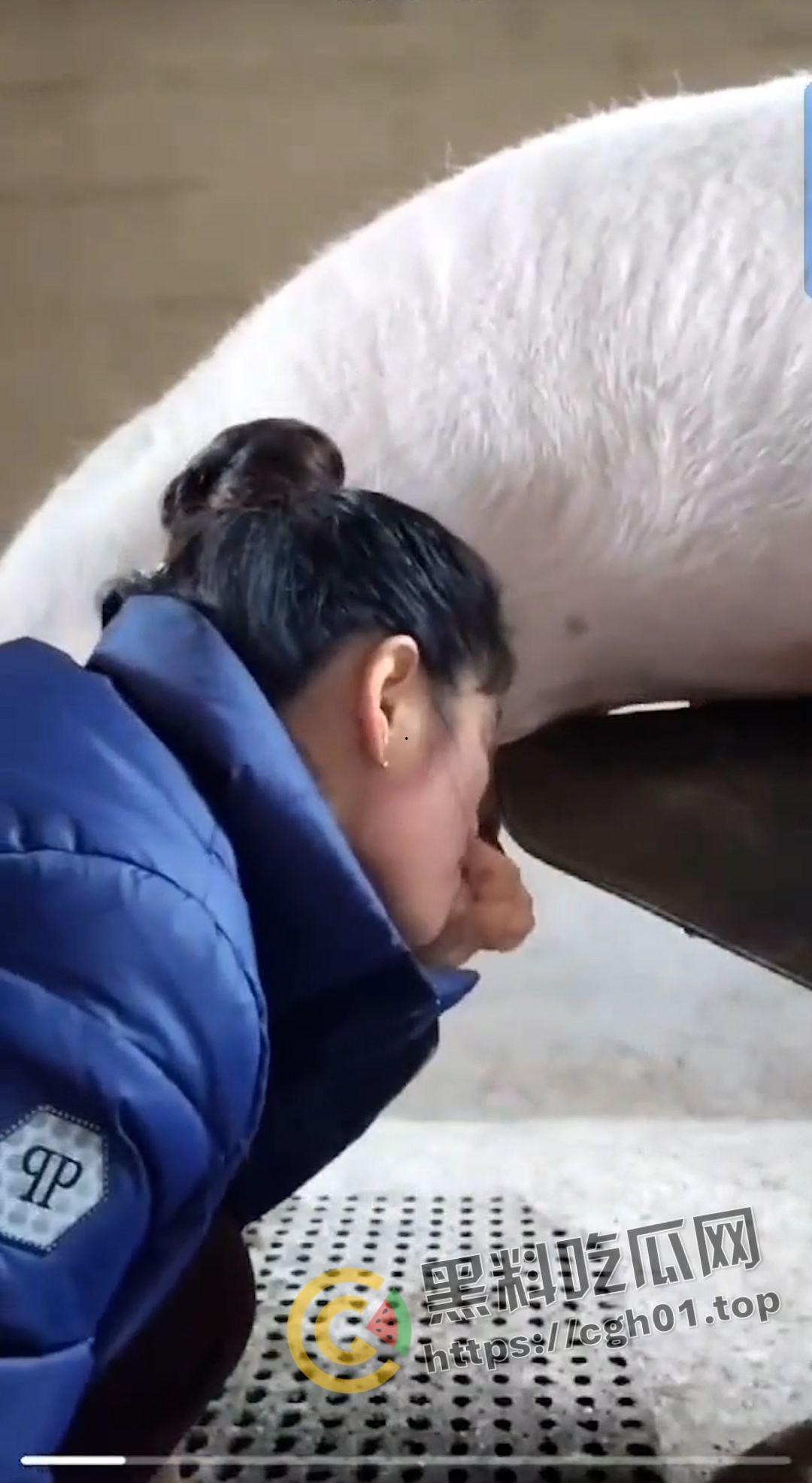 湖北养猪场变态女老板给猪口 手嘴并用被猪射满脸 八戒狂喜-5