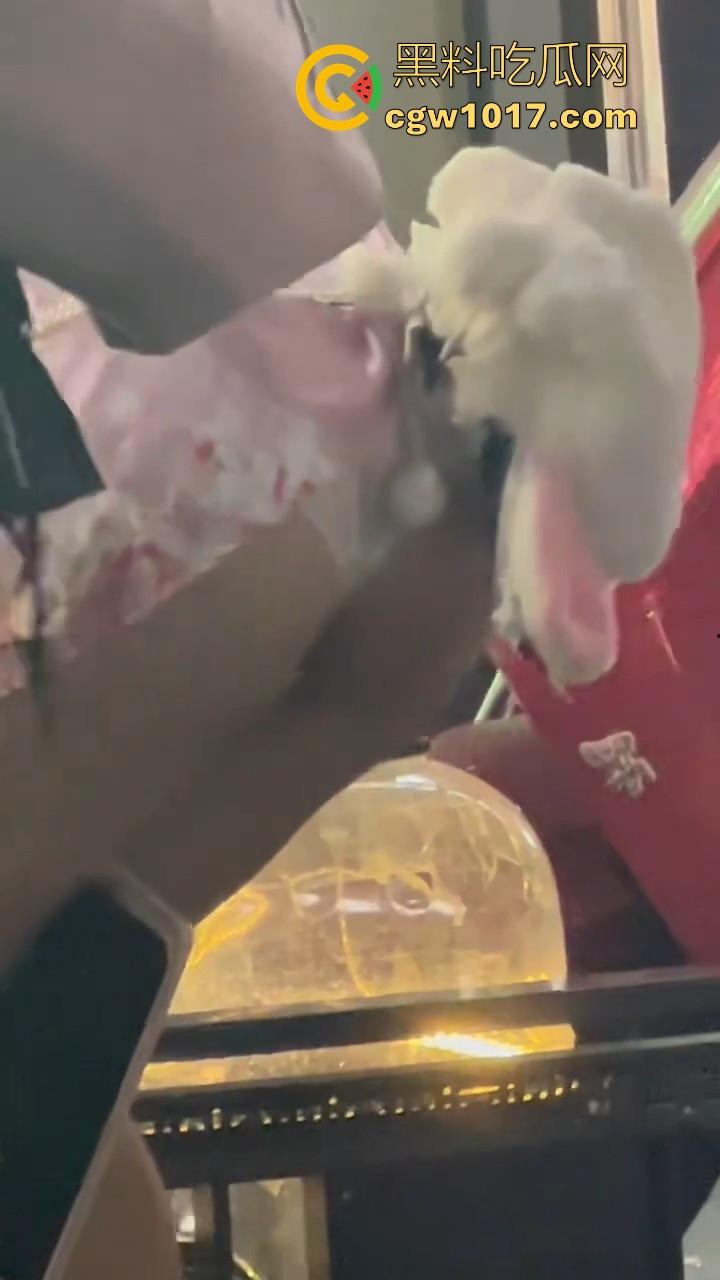 街头偶遇骚逼母狗执行主人的户外任务！齐逼短裙配透明小尾巴内裤，街头大胆露出，小骚逼玩刺激的是吧！-8