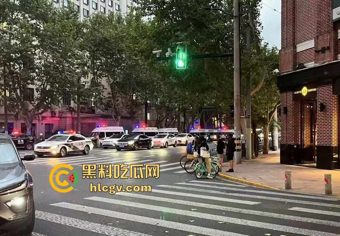 上海中山公园coser夜晚集体发疯,唱歌玩得嗨被带走!场面混乱如甄嬛传翻拍!-14