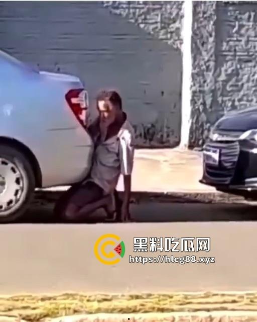 印度神奇的国度,大爷忘情与汽车排气管进行活塞运动 日了蜥蜴还能日排气管!-5