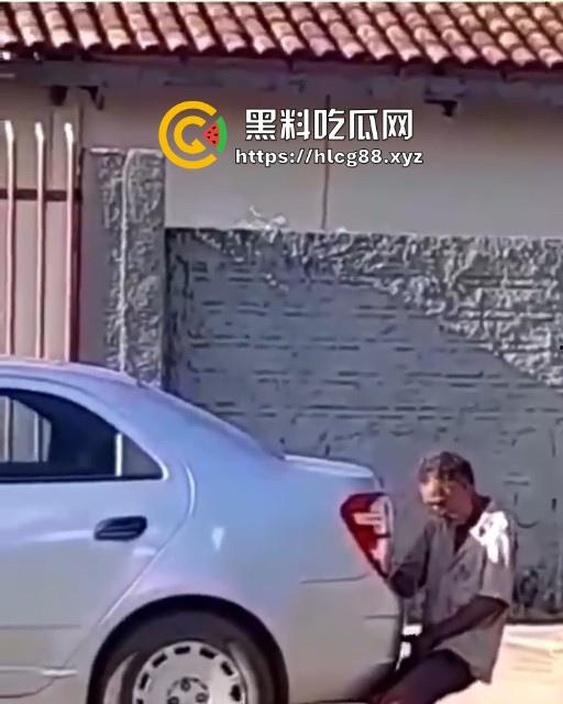 印度神奇的国度,大爷忘情与汽车排气管进行活塞运动 日了蜥蜴还能日排气管!-7