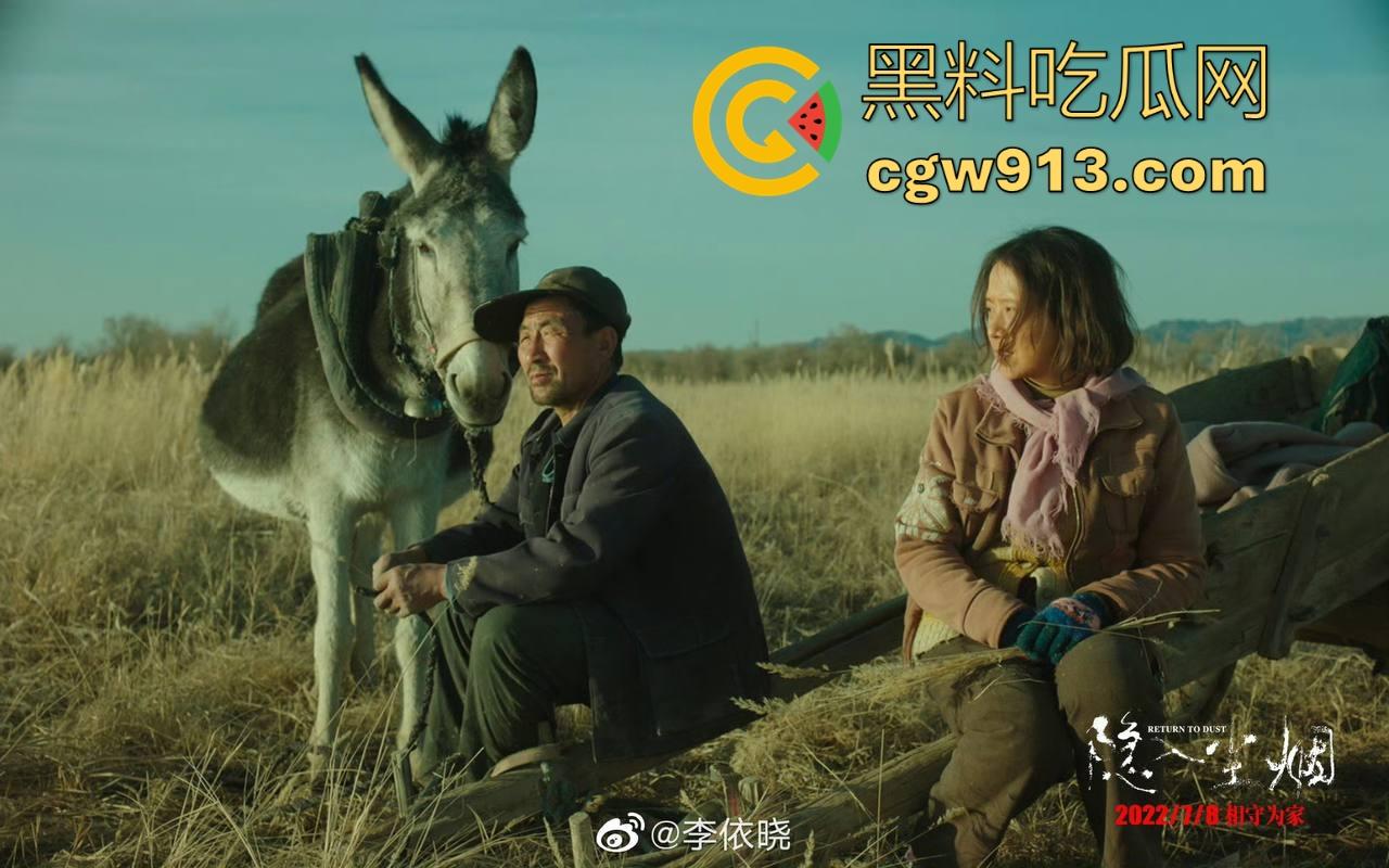 年度高分神剧【隐入尘烟】震撼来袭!后劲很大很感动很写实的国家下架电影,很值得一看!-7