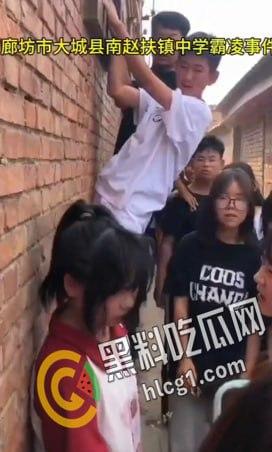 校园欺凌!河北廊坊大城县南赵扶镇某中学 几十个学生起哄狂扇女生耳光 可怜的女生只能缩在墙边任人宰割-4